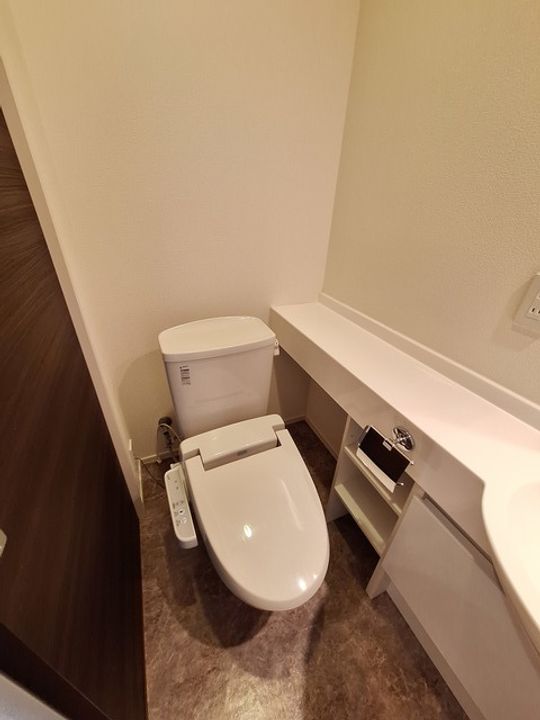 東京都港区高輪4(マンション)の賃貸物件の内装