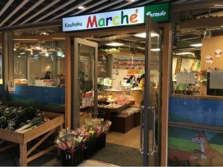 神奈川県横浜市都筑区茅ケ崎中央(マンション)の賃貸物件の周辺