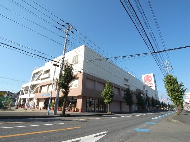 Peacefulの周辺