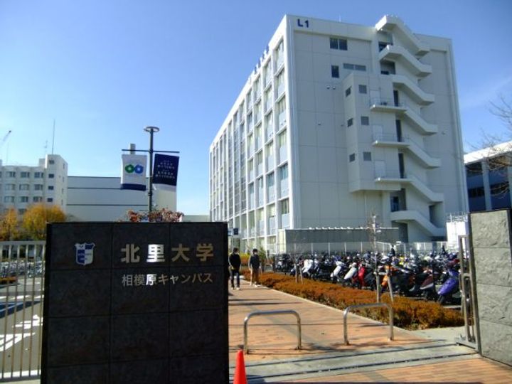 メイプルハウスの周辺