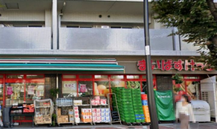 ALTERNA KAMEIDO IIIの周辺