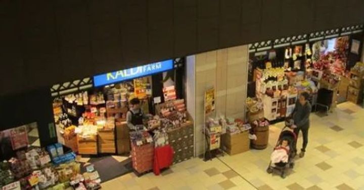 東京都渋谷区西原3(一戸建)の賃貸物件の周辺