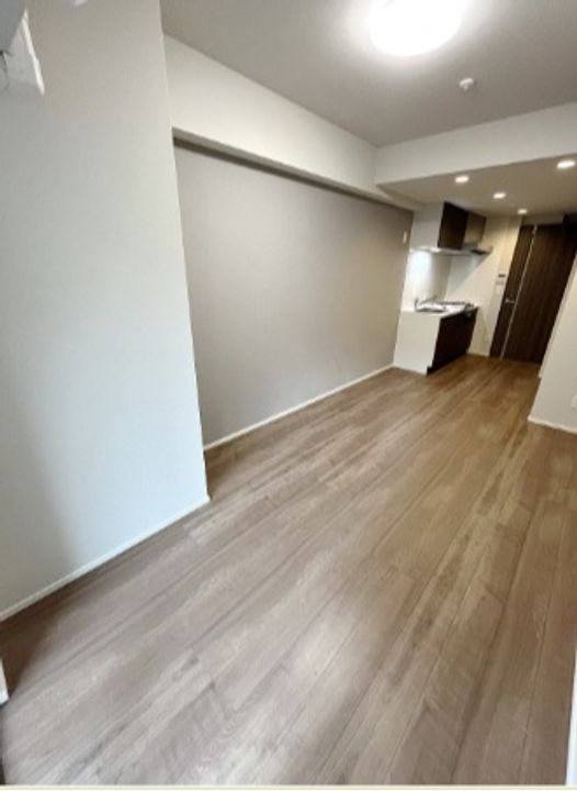 東京都豊島区南大塚2(マンション)の賃貸物件の居間