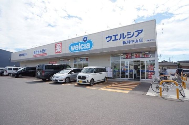 新潟県新潟市東区中山8(一戸建)の賃貸物件の周辺