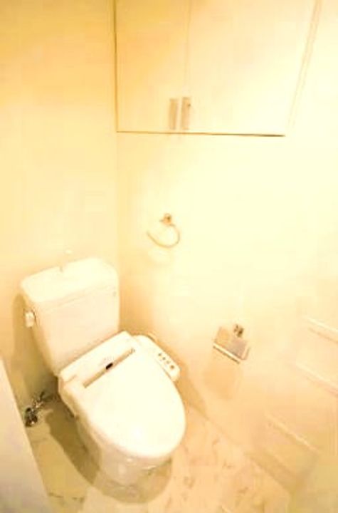 東京都文京区本駒込1(マンション)の賃貸物件の内装