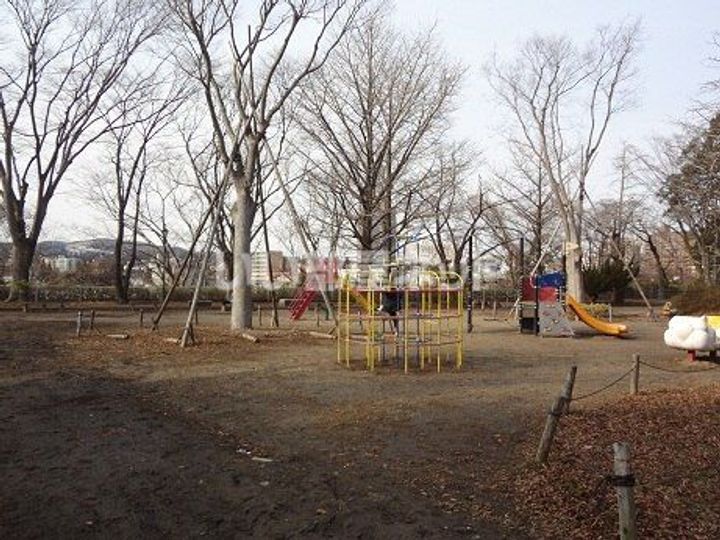 片平ブラボンの周辺