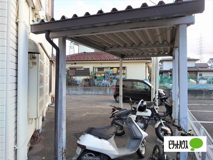 ぽぱのその他画像