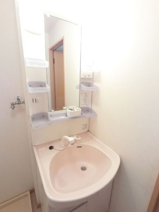 栃木県佐野市高萩町(アパート)の賃貸物件の内装