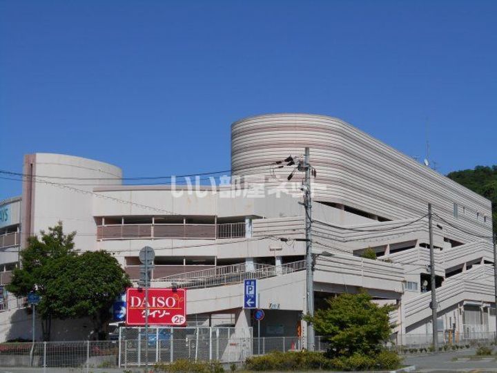 ディアス千尋の周辺