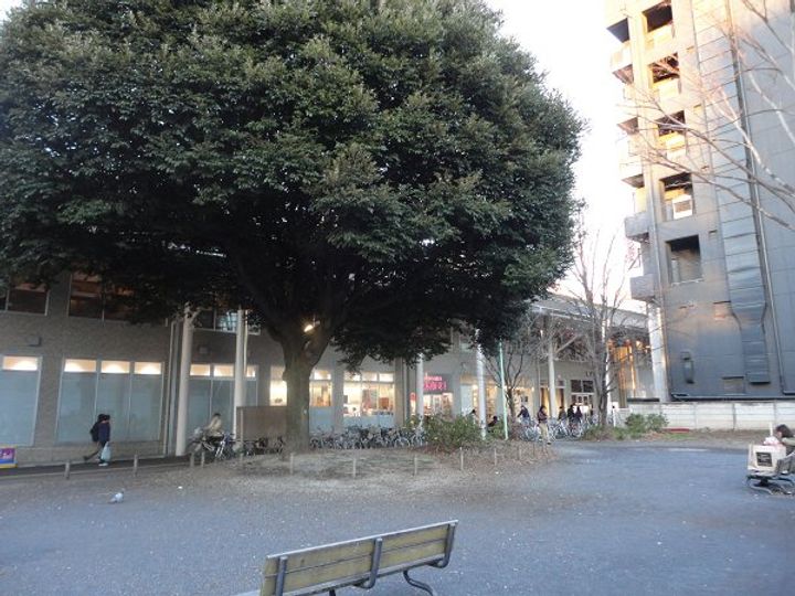 パークハウス梶野の周辺