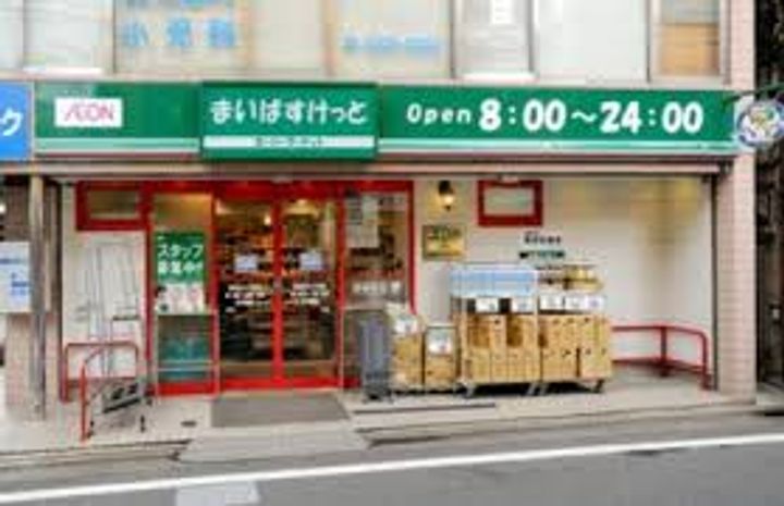 レオーネ亀戸の周辺