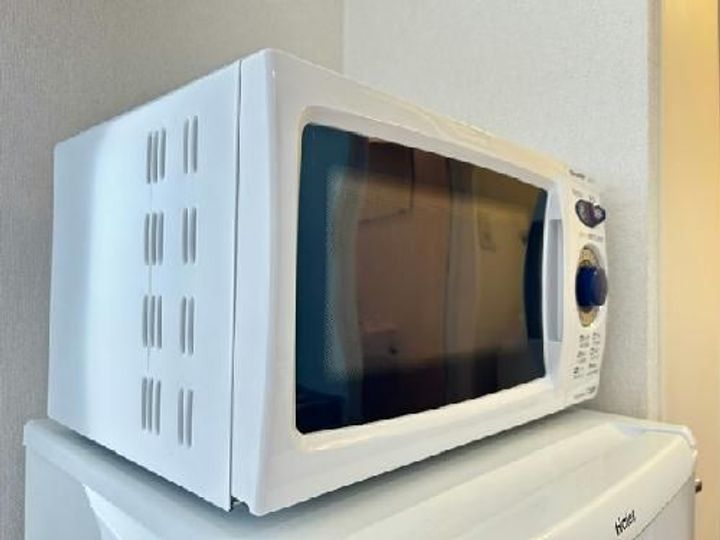 レオパレスサンライズ富岡IIのその他画像