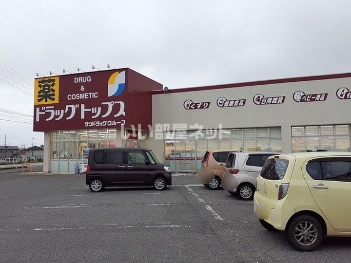 ツインピア舟入Iの周辺