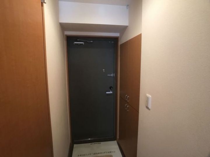 栃木県宇都宮市台新田町(マンション)の賃貸物件の玄関