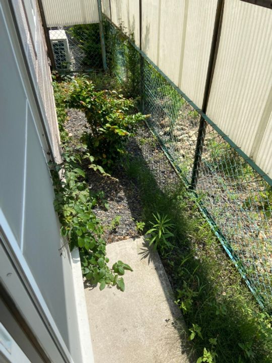 ルピナスの内装