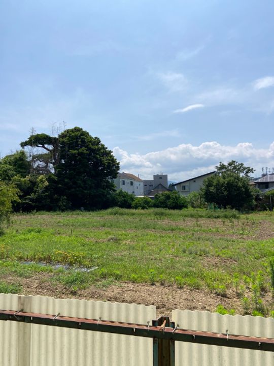 ルピナスのその他画像