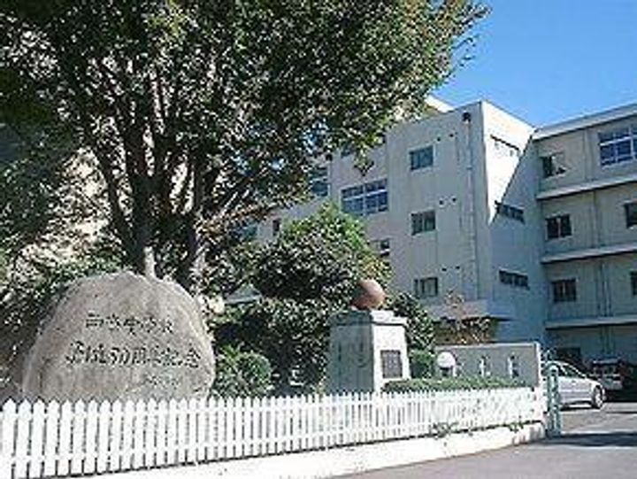 ルピナスの周辺