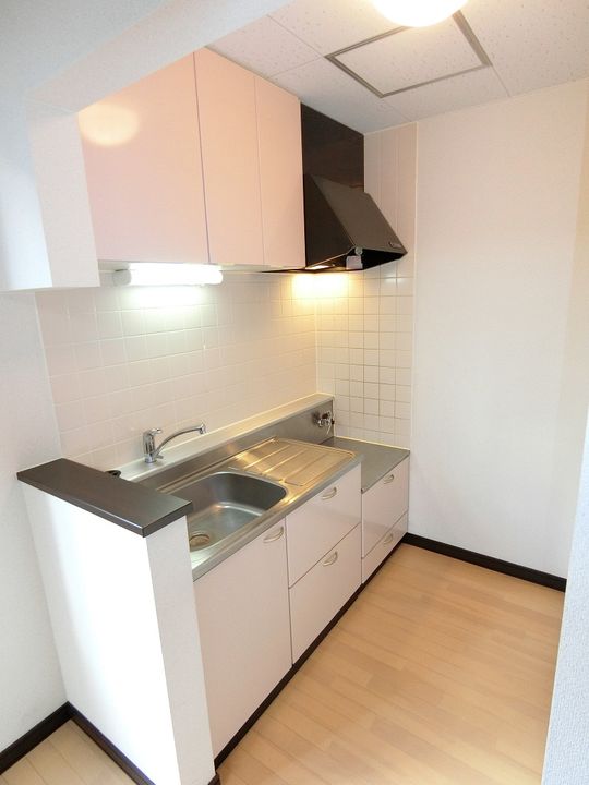 モンキー B棟のキッチン