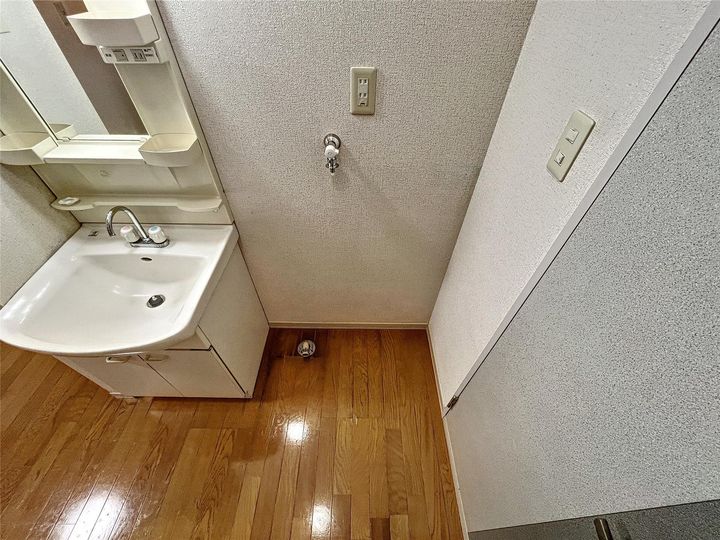 ディアスパークのその他画像