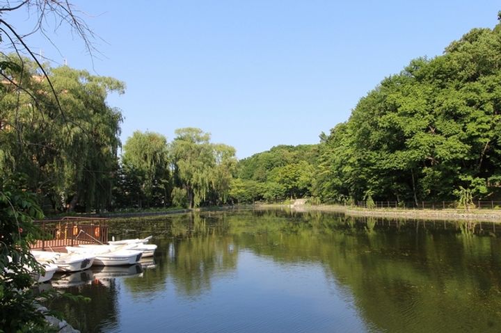 UR札幌平岸の周辺