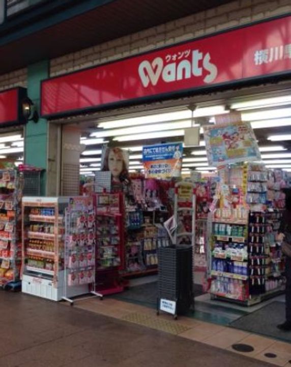 ハイネス横川の周辺