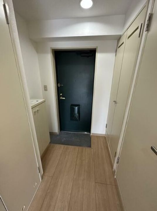 グランデュール峯崎IIの玄関