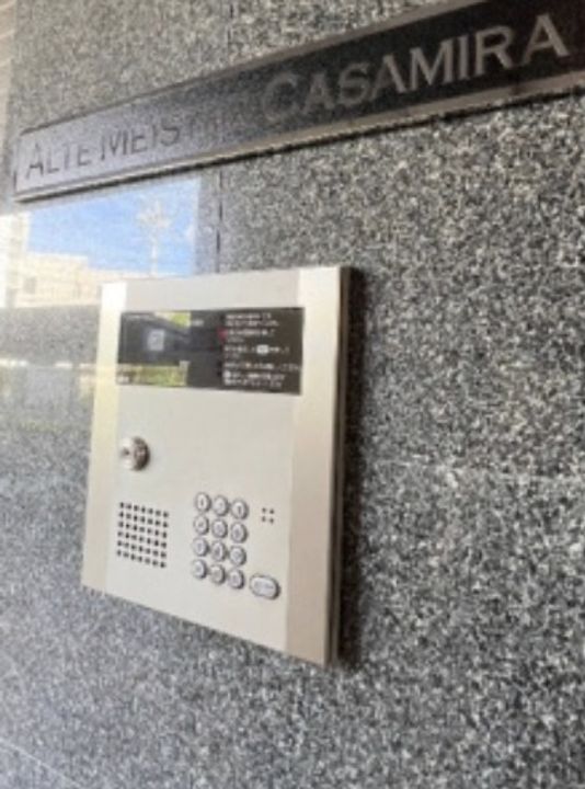 アルテマイスターカサミラのその他画像