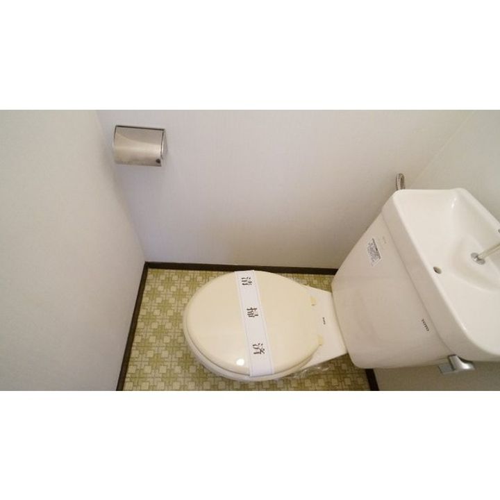 パナシティ杉の本の内装