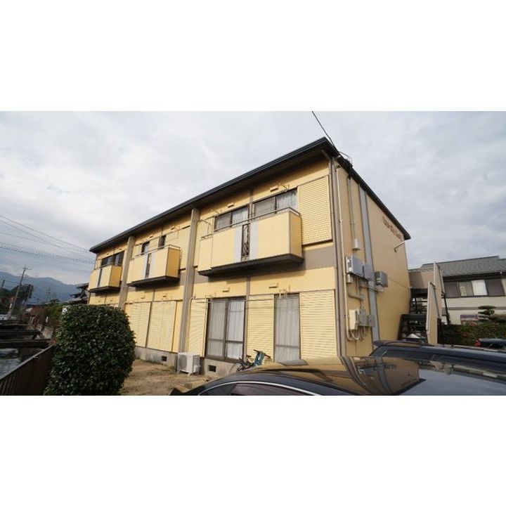 パナシティ杉の本の外観