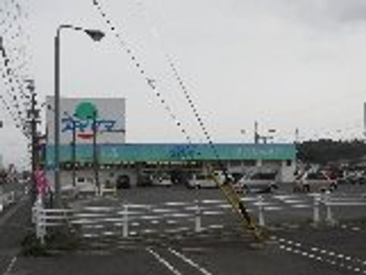 パナシティ杉の本の周辺