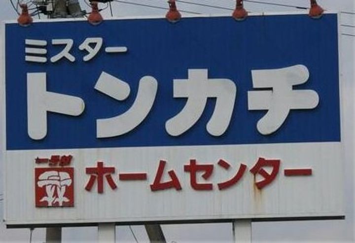 パナシティ杉の本の周辺
