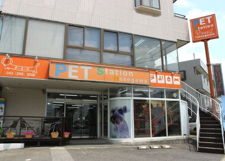 アルプスの周辺