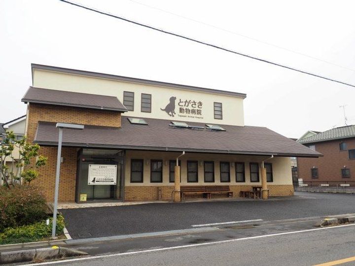 埼玉県三郷市戸ケ崎1(アパート)の賃貸物件の周辺