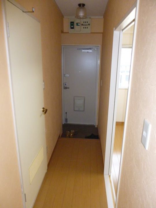 神奈川県伊勢原市東成瀬(マンション)の賃貸物件の玄関