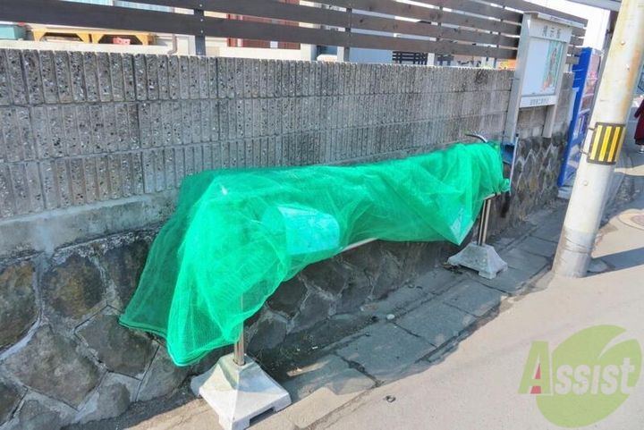 アリュール愛宕橋の周辺