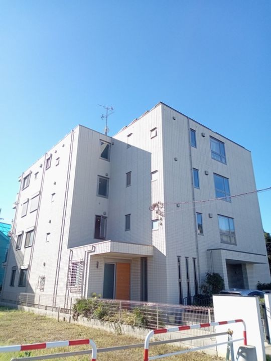 (シニア限定)ラファータの外観