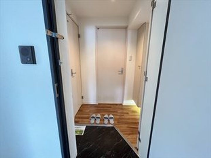 北海道札幌市中央区南十一条西1(マンション)の賃貸物件の玄関