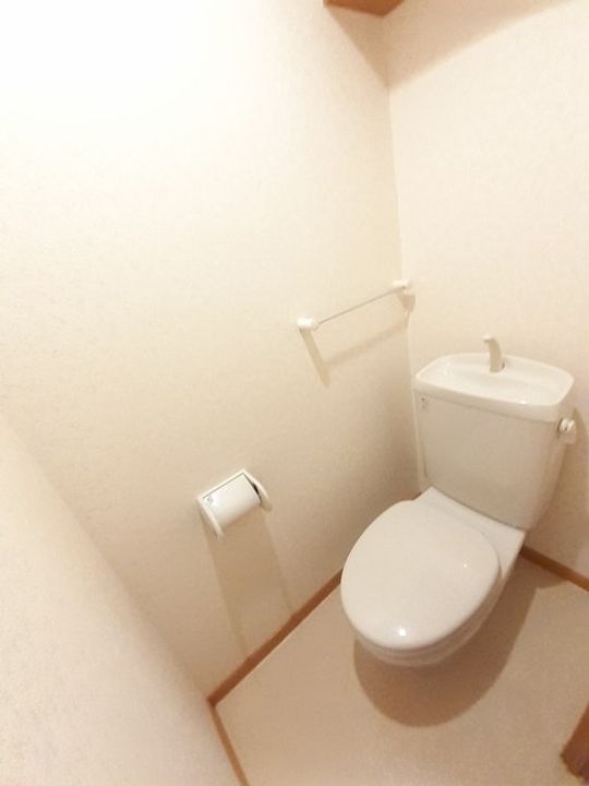 広島県東広島市西条町御薗宇(マンション)の賃貸物件の内装