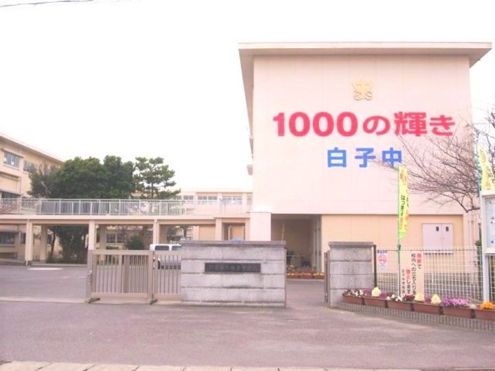 ティーツリーの周辺