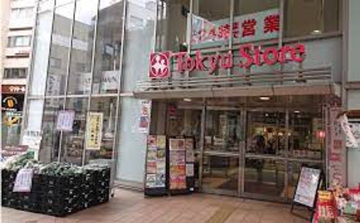 フォレステ碑文谷の周辺