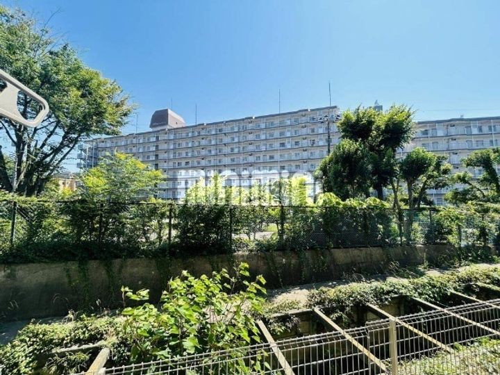 アルジェントのその他画像
