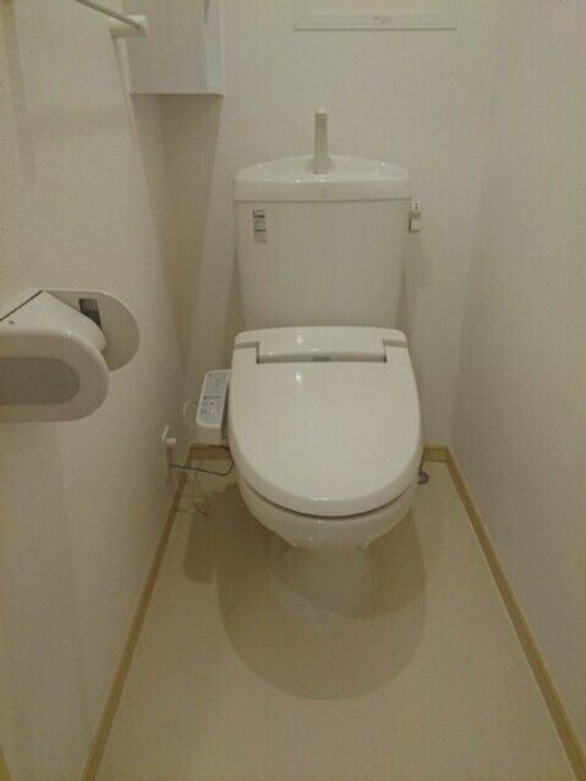 埼玉県熊谷市千代(アパート)の賃貸物件の内装
