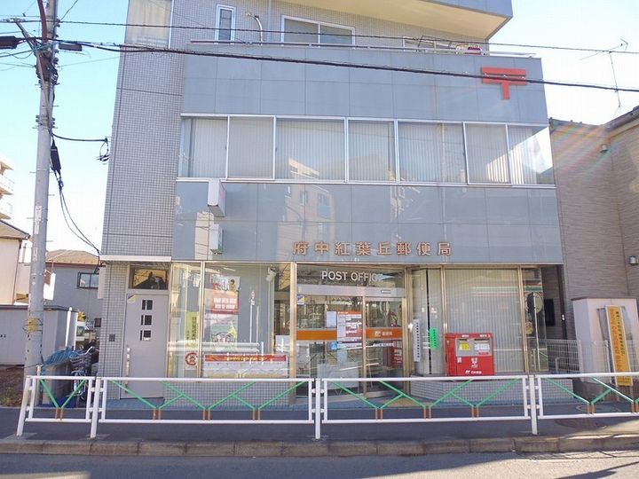 東京都府中市紅葉丘3(アパート)の賃貸物件の周辺