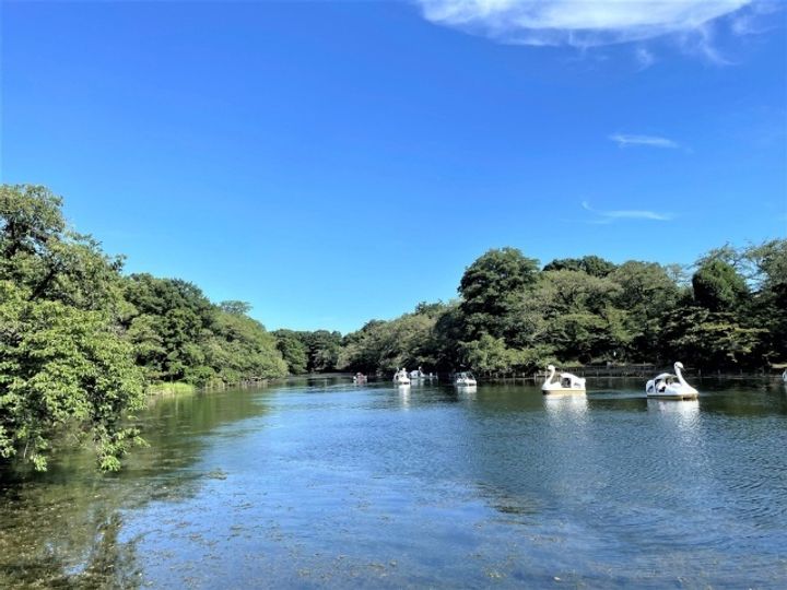 プレステージ吉祥寺の周辺