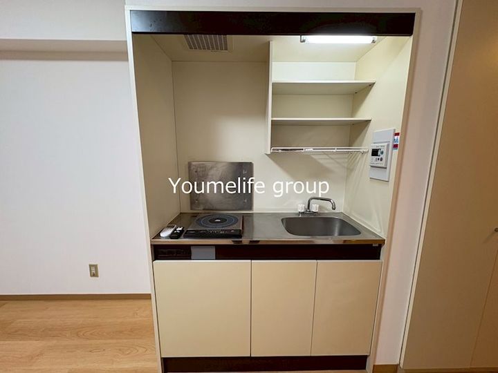 神奈川県伊勢原市東成瀬(マンション)の賃貸物件のキッチン