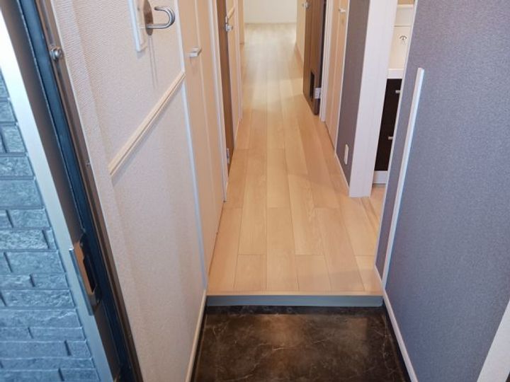 埼玉県越谷市神明町2(アパート)の賃貸物件の玄関