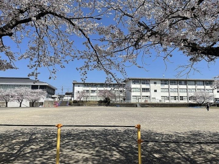 メゾンKnotの周辺