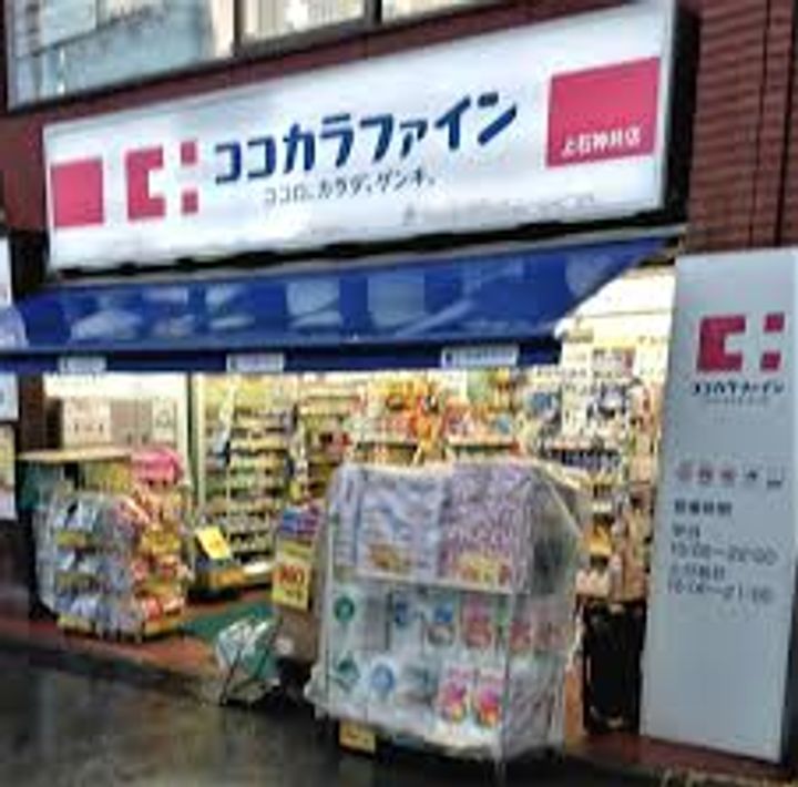 エテルノヴァローレ石神井公園の周辺