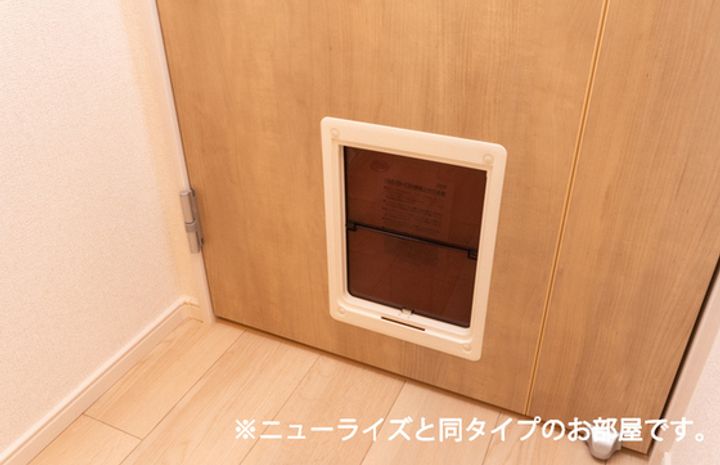 プティパニエ Cの内装