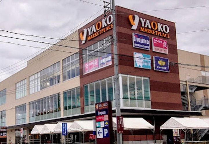 菱和パレス向ヶ丘遊園の周辺